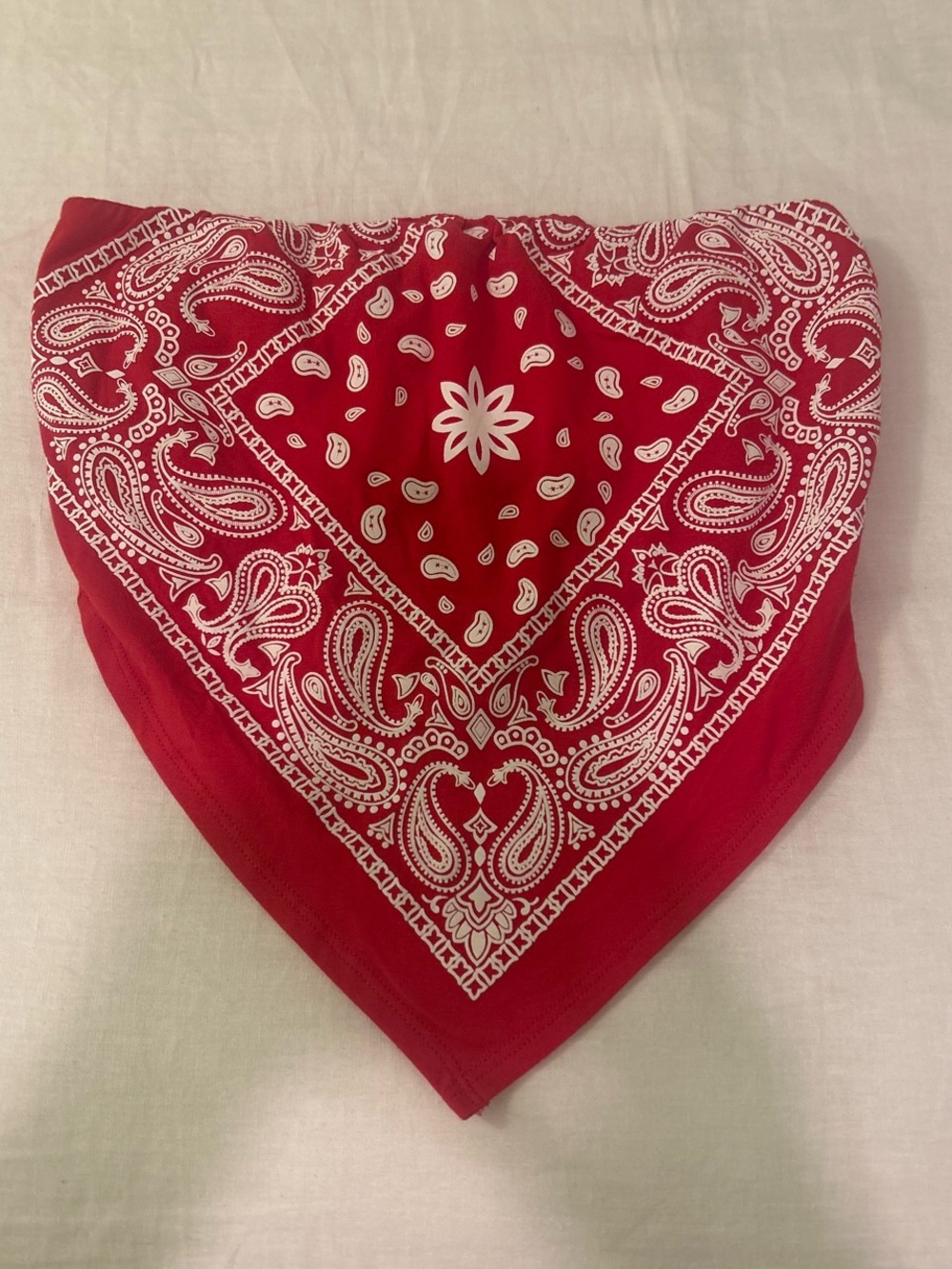 Classic Red Paisley Bandana top